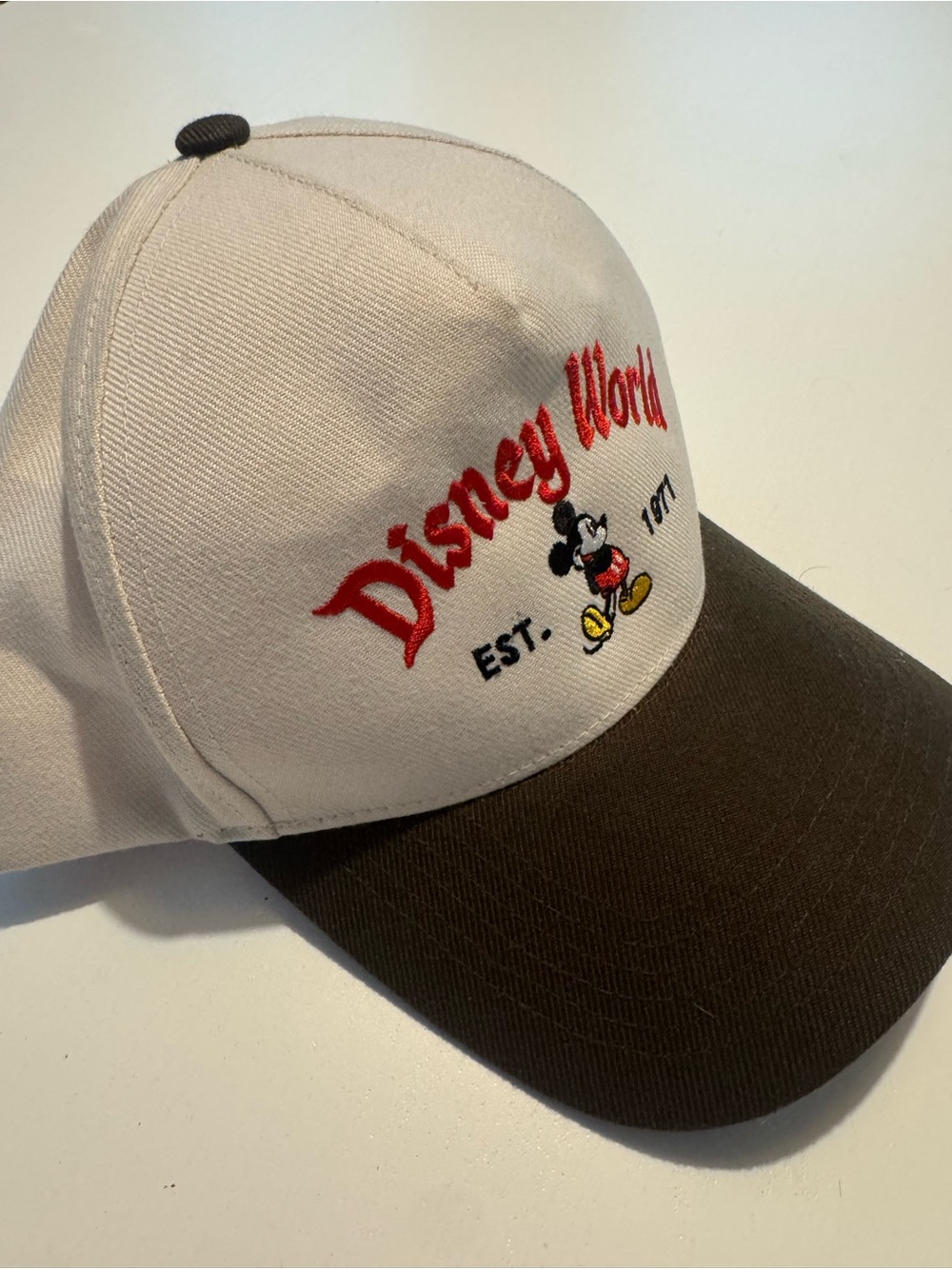 Disney World Snap Back Baseball Hat